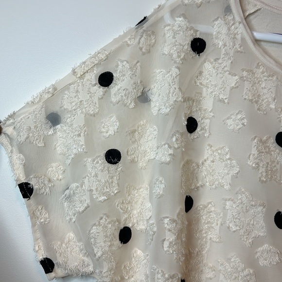 [#03] Size 3X Polka Dot Blouse with Thread Design | Short Sleeve, Plus-Size - Picture 2 of 4